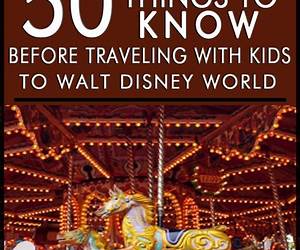 50 Things to Know Before Traveling with Kids to Walt Disney World: Learn the Tips that Will Help You Have the Most Successful and Enjoyable Trip with Your Family (50 Things to Know Parenting)