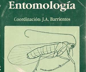 Bases para un curso práctico de entomología