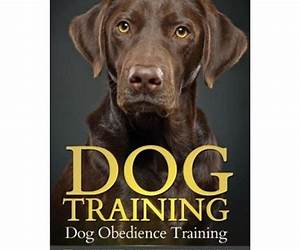 Beyond ObedienceAdvanced Dog Training