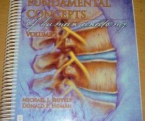 Fundamental Concepts of Human Anatomy Volume 2