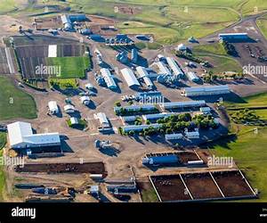 Hutterites of Montana