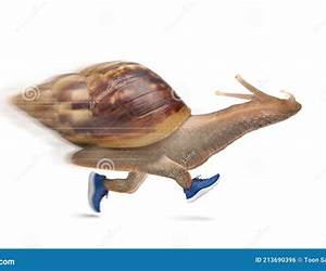 Running with snails